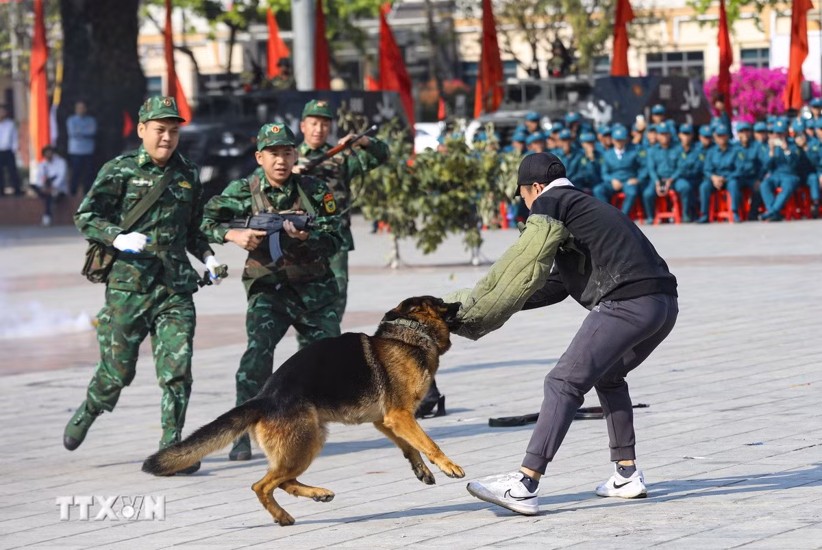 ttxvn-dien-bien-ra-quan-8.jpg