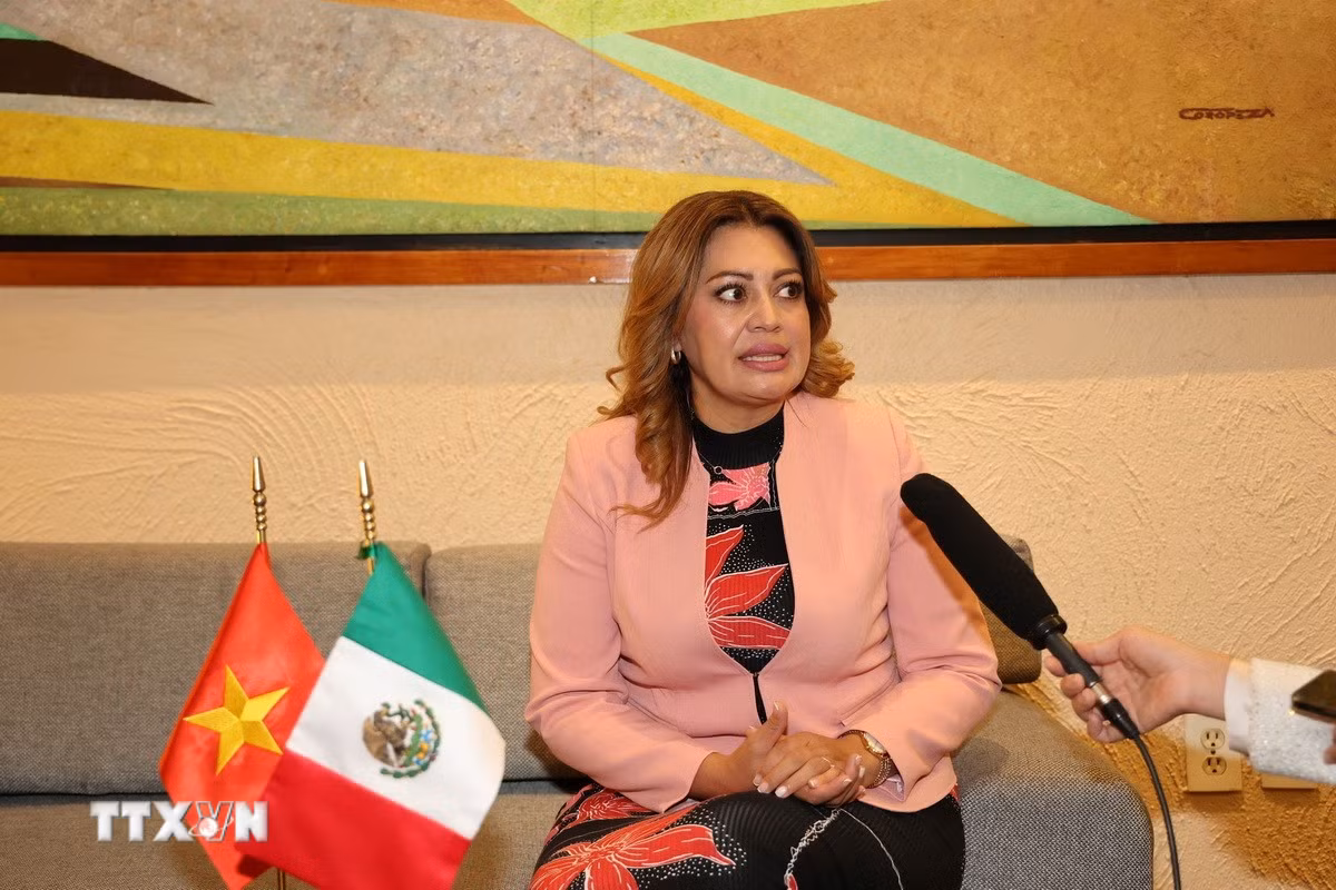 ttxvn-30-mexico.jpg