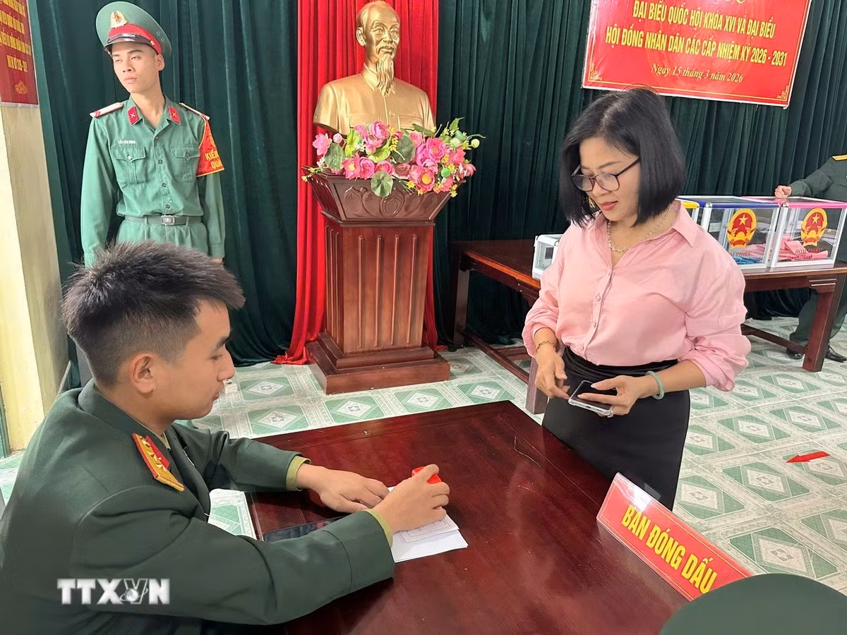 ttxvn-dao-tran-co-to-6.jpg