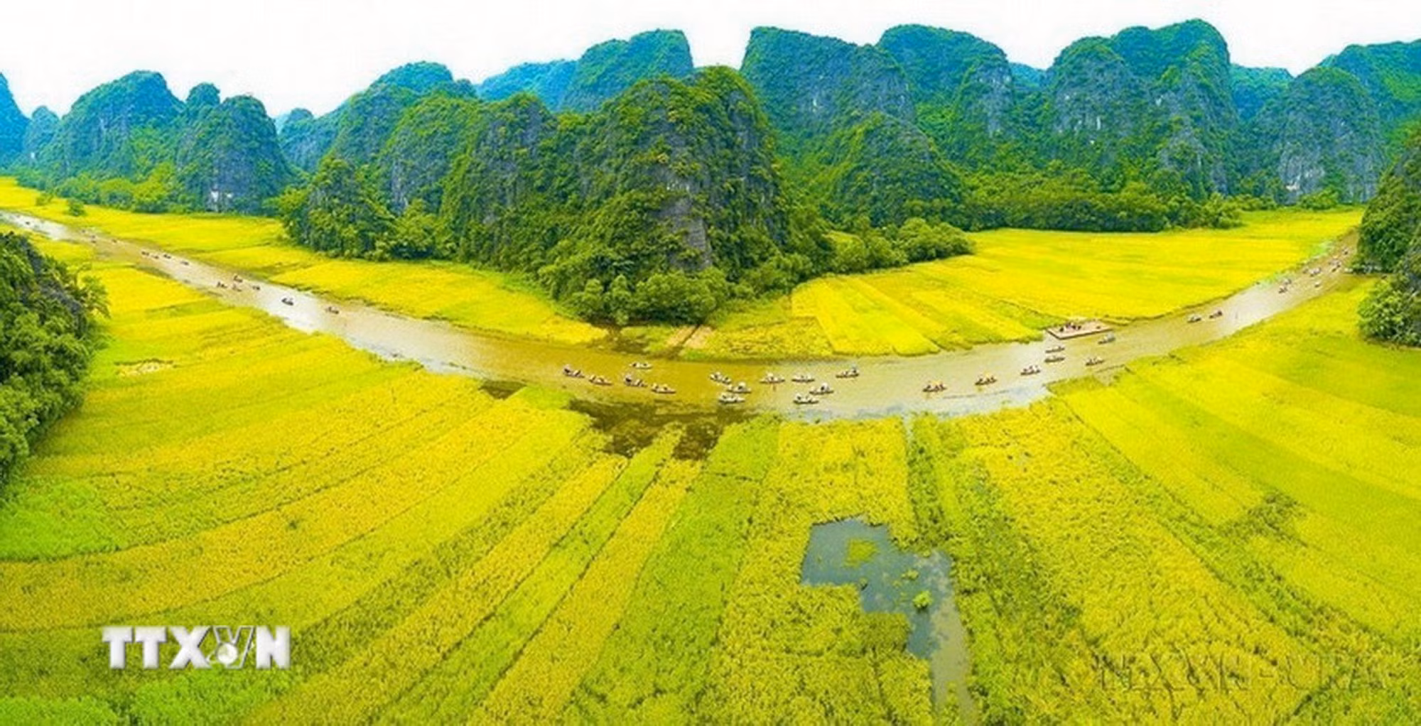10-lua-trang-an.jpg