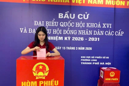 Sinh viên Trường Đại học Ngoại thương bỏ phiếu bầu cử. (Ảnh: Vietnam+)