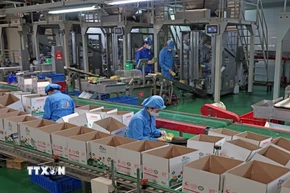 Công ty TNHH Long Hải, Cụm công nghiệp 1, phường Thạch Khôi, thành phố Hải Phòng mỗi năm sản xuất hàng trăm tấn sản phẩm tiêu thụ trong nước và xuất khẩu. (Ảnh: Trần Việt/TTXVN)