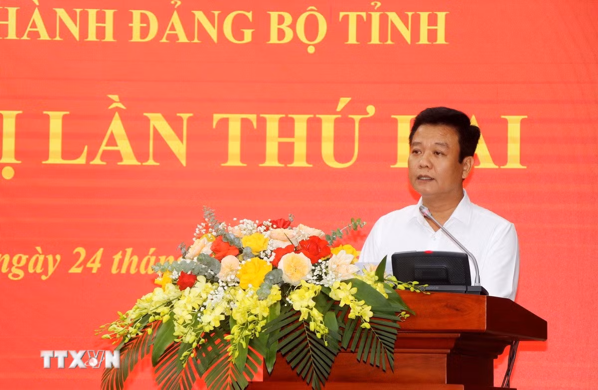 ttxvn-hoi-nghi-ban-chap-hanh-dang-bo-tinh-quang-tri-lan-thu-hai3.jpg