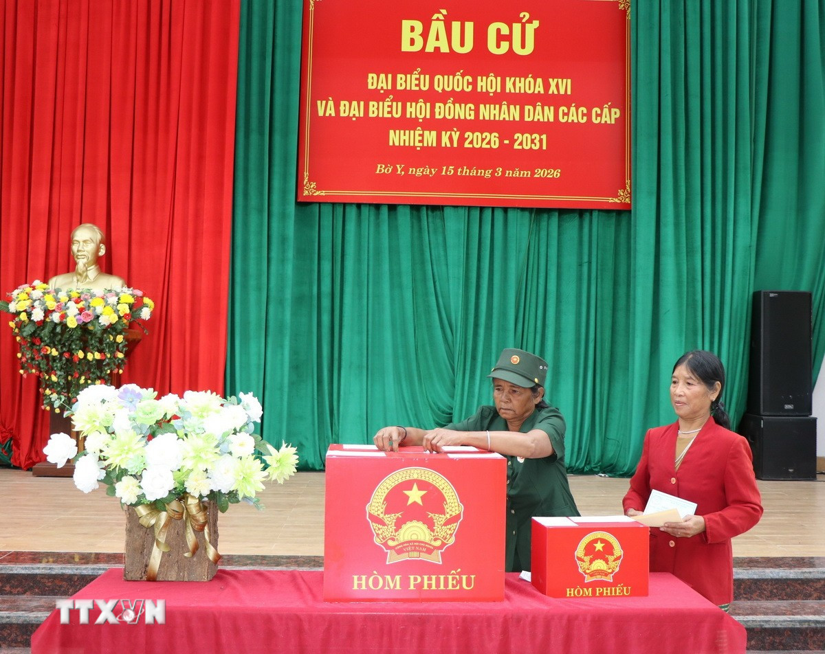 ttxvn-cu-tri-vung-bien-bo-y-quang-ngai-hang-hai-di-bau-cu-2.jpg