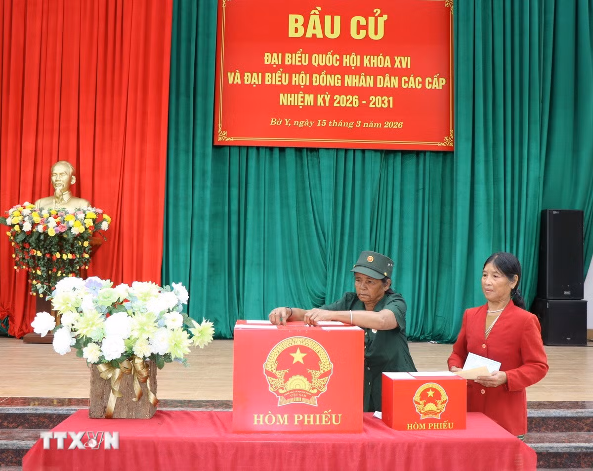 ttxvn-cu-tri-vung-bien-bo-y-quang-ngai-hang-hai-di-bau-cu-2.jpg