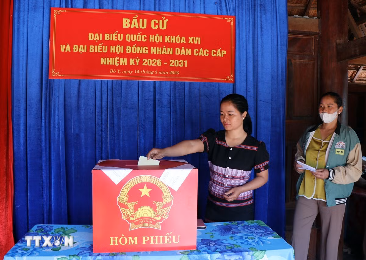 ttxvn-cu-tri-vung-bien-bo-y-quang-ngai-hang-hai-di-bau-cu.jpg
