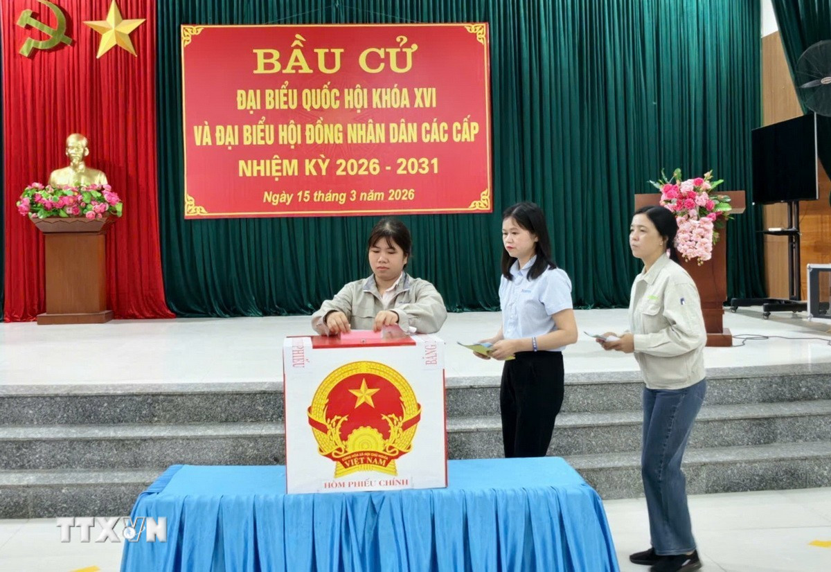 ttxvn-cu-tri-bac-ninh-phan-khoi-tham-gia-bau-cu3.jpg