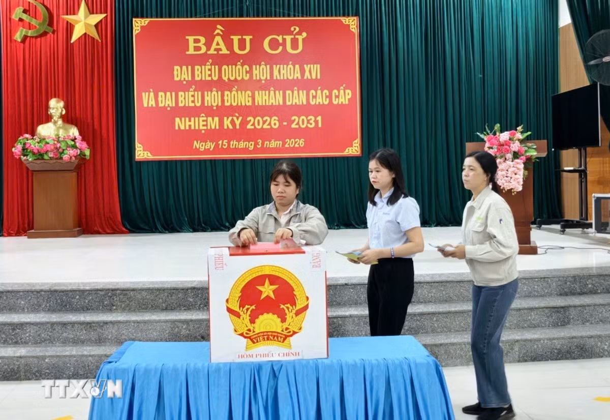 ttxvn-cu-tri-bac-ninh-phan-khoi-tham-gia-bau-cu3.jpg
