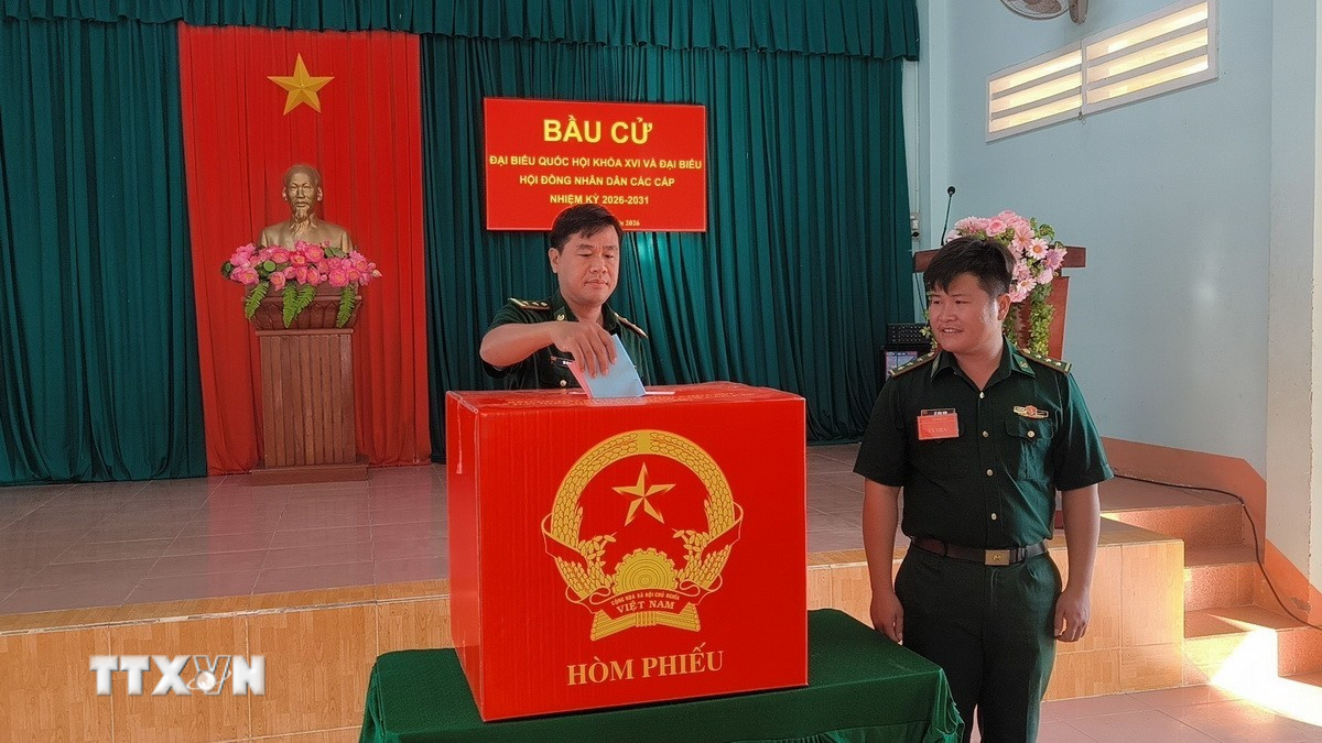ttxvn-cu-tri-vinh-long-no-nuc-di-bau-cu-thuc-hien-quyen-cong-dan3.jpg