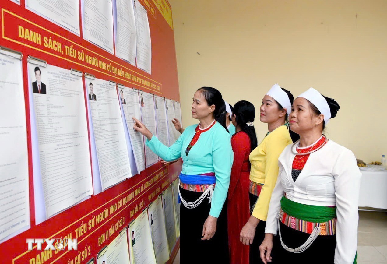 Nghiên cứu danh sách các ứng cử viên. (Ảnh: Tạ Toàn/TTXVN)