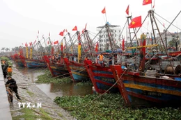 Cảng cá Tân Sơn, xã Thái Thụy (Hưng Yên). (Ảnh: Thế Duyệt/TTXVN)