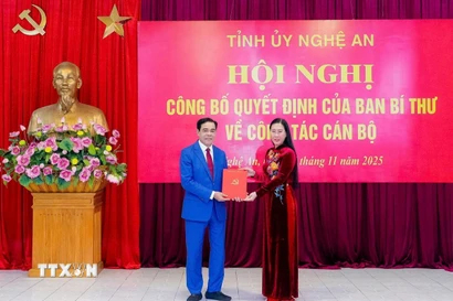 Bà Bùi Thị Quỳnh Vân, Ủy viên Trung ương Đảng, Phó Trưởng Ban Tổ chức Trung ương trao quyết định cho ông Võ Trọng Hải. (Ảnh: TTXVN phát)