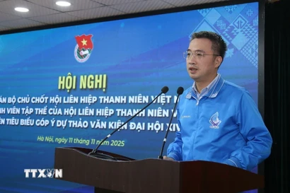 Bí thư Trung ương Đoàn, Chủ tịch Hội Liên hiệp Thanh niên Việt Nam Nguyễn Tường Lâm phát biểu. (Ảnh: Hạnh Quyên/TTXVN)