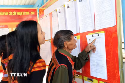 Cử tri đồng bào dân tộc thiểu số Xê Đăng, xã Trà Linh, thành phố Đà Nẵng đến điểm bầu cử tìm hiểu tiểu sử các ứng cử viên Quốc hội và HĐND. (Ảnh: Trần Tĩnh/TTXVN)