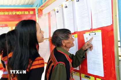 Cử tri đồng bào dân tộc thiểu số Xê Đăng, xã Trà Linh, thành phố Đà Nẵng đến điểm bầu cử tìm hiểu tiểu sử các ứng cử viên Quốc hội và HĐND. (Ảnh: Trần Tĩnh/TTXVN)