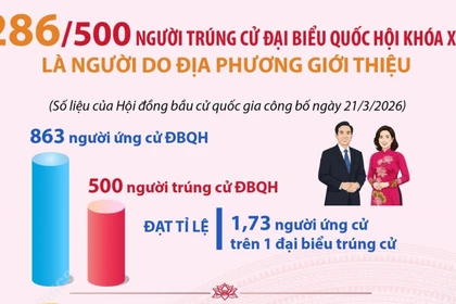 286/500 người trúng cử Đại biểu Quốc hội là người do địa phương giới thiệu
