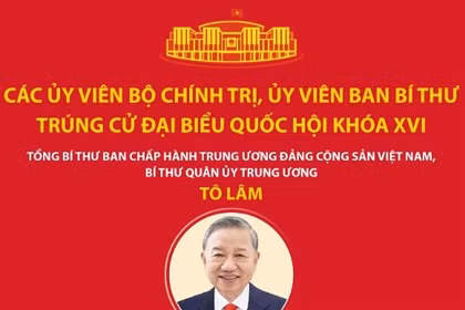 Các Ủy viên Bộ Chính trị, Ủy viên Ban Bí thư trúng cử đại biểu Quốc hội khóa XVI