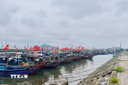 (Ảnh: Hoàng Ngà/TTXVN)