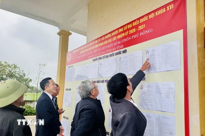 Người dân thôn Phú Đông, xã Lộc Hà, tìm hiểu thông tin người ứng cử Đại biểu Quốc hội và Đại biểu Hội đồng Nhân dân các cấp nhiệm kỳ 2026-2031. (Ảnh: Hoàng Ngà/TTXVN)
