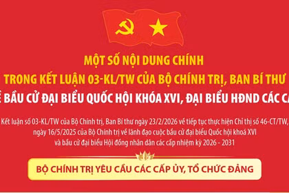 Kết luận 03-KL/TW của Bộ Chính trị, Ban Bí thư về lãnh đạo công tác bầu cử