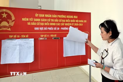 Cử tri kiểm tra danh sách cử tri tại khu vực bầu cử số 39. (Ảnh: Trần Việt/TTXVN)