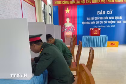 Quân và nhân dân trên đảo tiền tiêu Bạch Long Vĩ tham gia bầu cử sớm. (Ảnh: TTXVN phát)