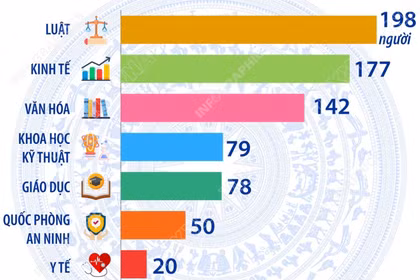 Chuyên môn, nghiệp vụ của 500 người trúng cử đại biểu Quốc hội khóa XVI