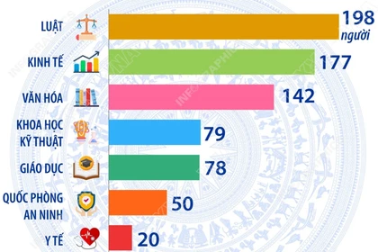 Chuyên môn, nghiệp vụ của 500 người trúng cử đại biểu Quốc hội khóa XVI