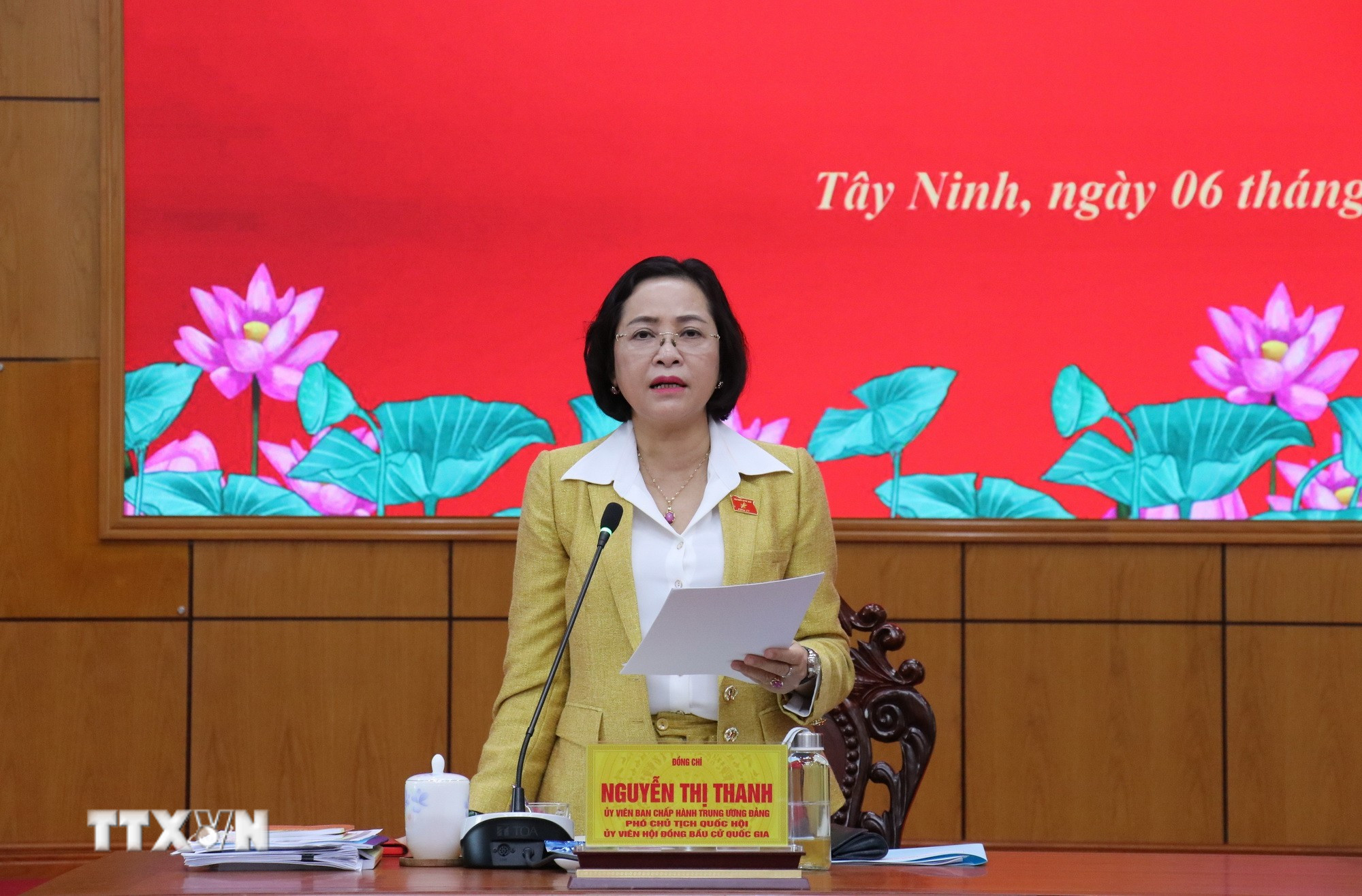 Phó Chủ tịch Quốc hội Nguyễn Thị Thanh phát biểu tại buổi làm việc. (Ảnh: Bùi Giang/TTXVN)