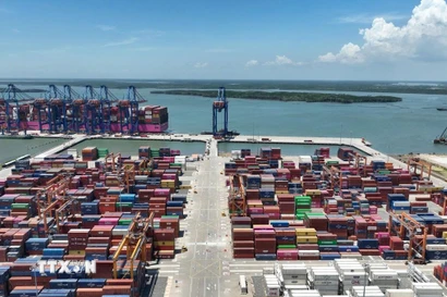 (Ảnh: Hoàng Nhị/TTXVN)