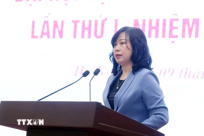 Đồng chí Đào Hồng Lan, Ủy viên Trung ương Đảng, Bộ trưởng Bộ Y tế trả lời câu hỏi của phóng viên các cơ quan thông tấn, báo chí. (Ảnh: Phạm Kiên/TTXVN)