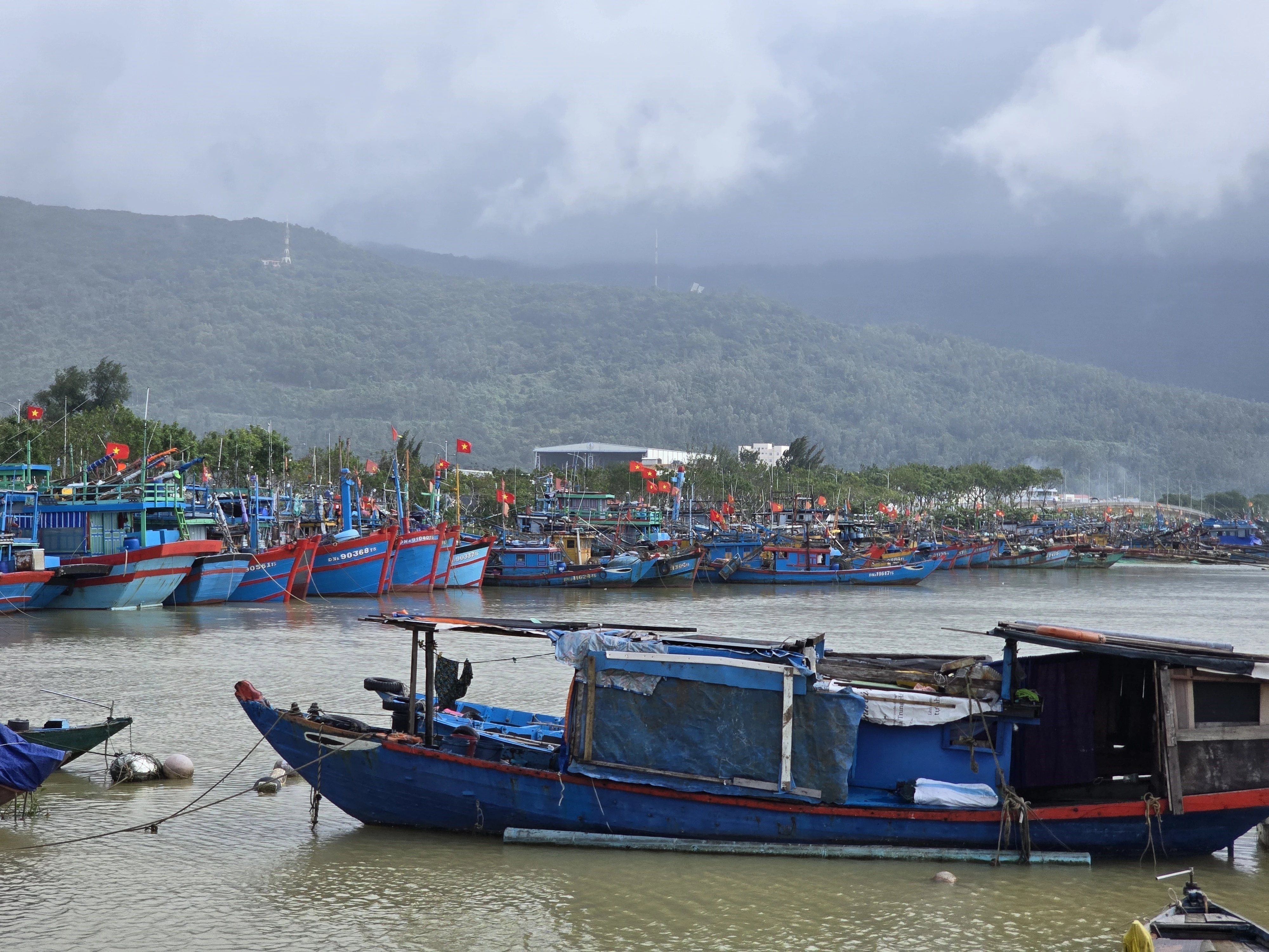 Tàu thuyền neo đậu tại âu thuyền Thọ Quang (phường Sơn Trà, thành phố Đà Nẵng) (Ảnh: Khoa Chương/TTXVN)