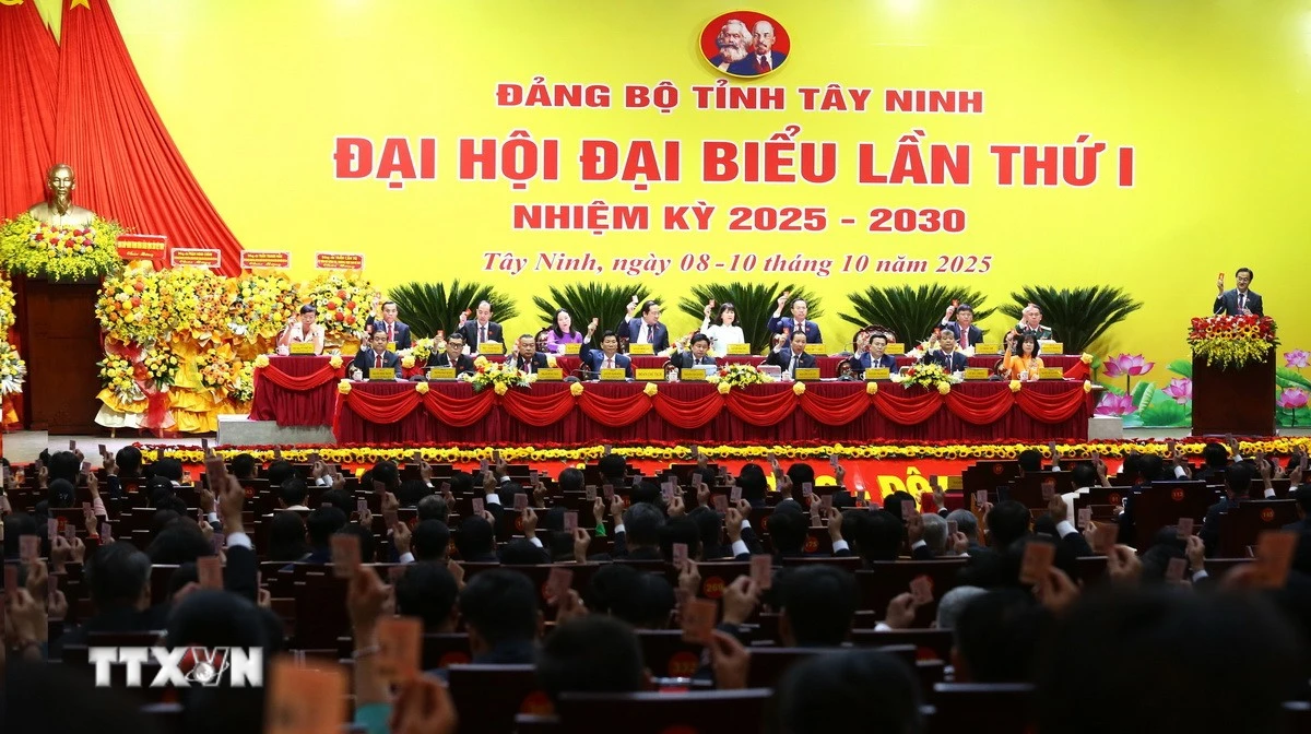 Đại biểu nhất trí thông qua chương trình Đại hội. (Ảnh: Giang Phương/TTXVN)