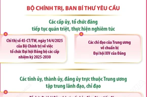 Nhiệm vụ của cấp ủy, tổ chức đảng, tỉnh ủy, thành ủy, đảng ủy trực thuộc TW