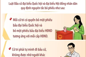 Bầu cử Quốc hội và Hội đồng nhân dân: Nguyên tắc bỏ phiếu