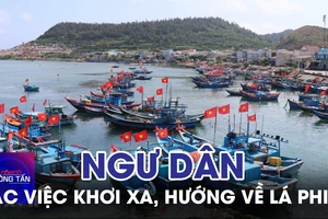 Quảng Ngãi: Ngư dân gác việc khơi xa, hướng về lá phiếu