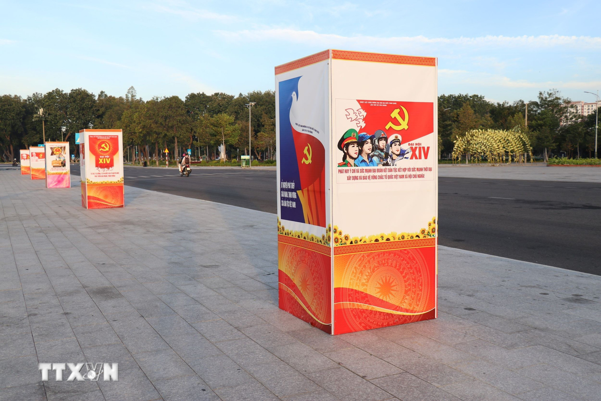 ttxvn-khanh-hoa-ruc-ro-co-hoa-chao-mung-dai-hoi-xiv-cua-dang-17-9.jpg
