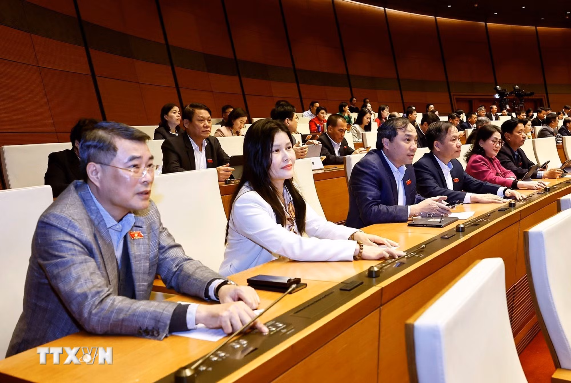 ttxvn-quoc-hoi-bieu-quyet-thong-qua-cac-luat-30-2.jpg