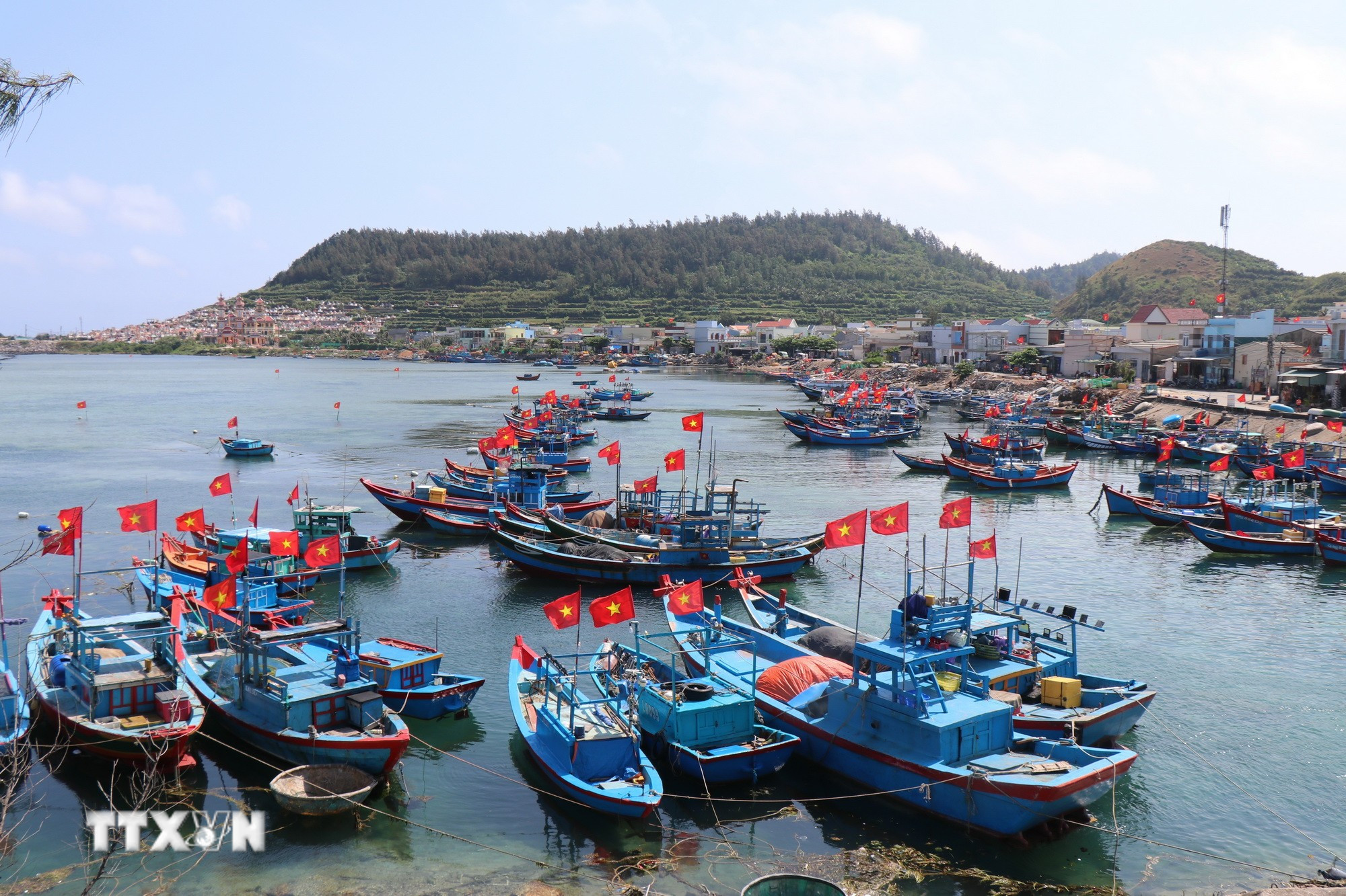 Cờ Tổ quốc trên nhiều tàu cá ở đặc khu Lý Sơn (Quảng Ngãi), hướng về Ngày bầu cử. (Ảnh: Phạm Cường/TTXVN)