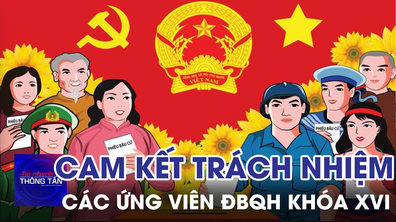 Cam kết trách nhiệm của các ứng cử viên ĐBQH khóa XVI