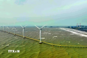 Các turbin gió tại Nhà máy điện gió Hàn Quốc-Trà Vinh. (Ảnh: Vũ Sinh/TTXVN)
