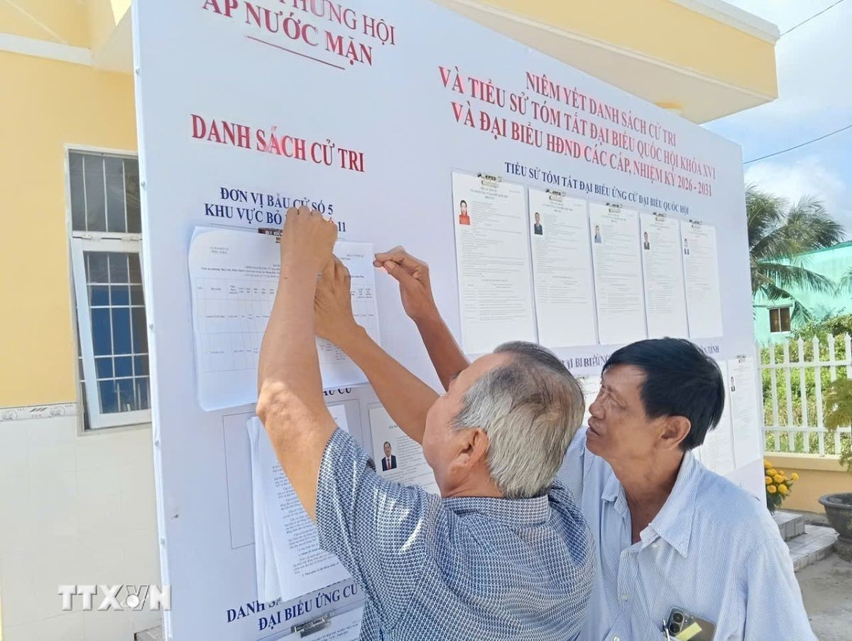 Cử tri tìm hiểu thông tin các ứng cử viên đại biểu Quốc hội cũng như Hội đồng Nhân dân các cấp nhiệm kỳ 2026-2031 tại nhà văn hóa ấp Nước Mặn, xã Hưng Hội. (Ảnh: TTXVN phát)