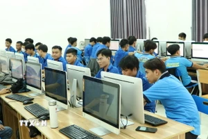 Ảnh minh họa. (Nguồn: TTXVN)