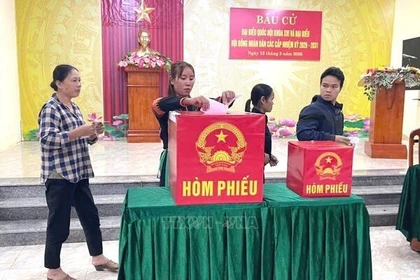 Quảng Trị: Cử tri đi bỏ phiếu với tỷ lệ cao, nhiều địa phương sớm đạt 100%