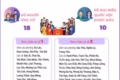 Bầu cử Quốc hội và HĐND: 4 đơn vị bầu cử của tỉnh Lào Cai