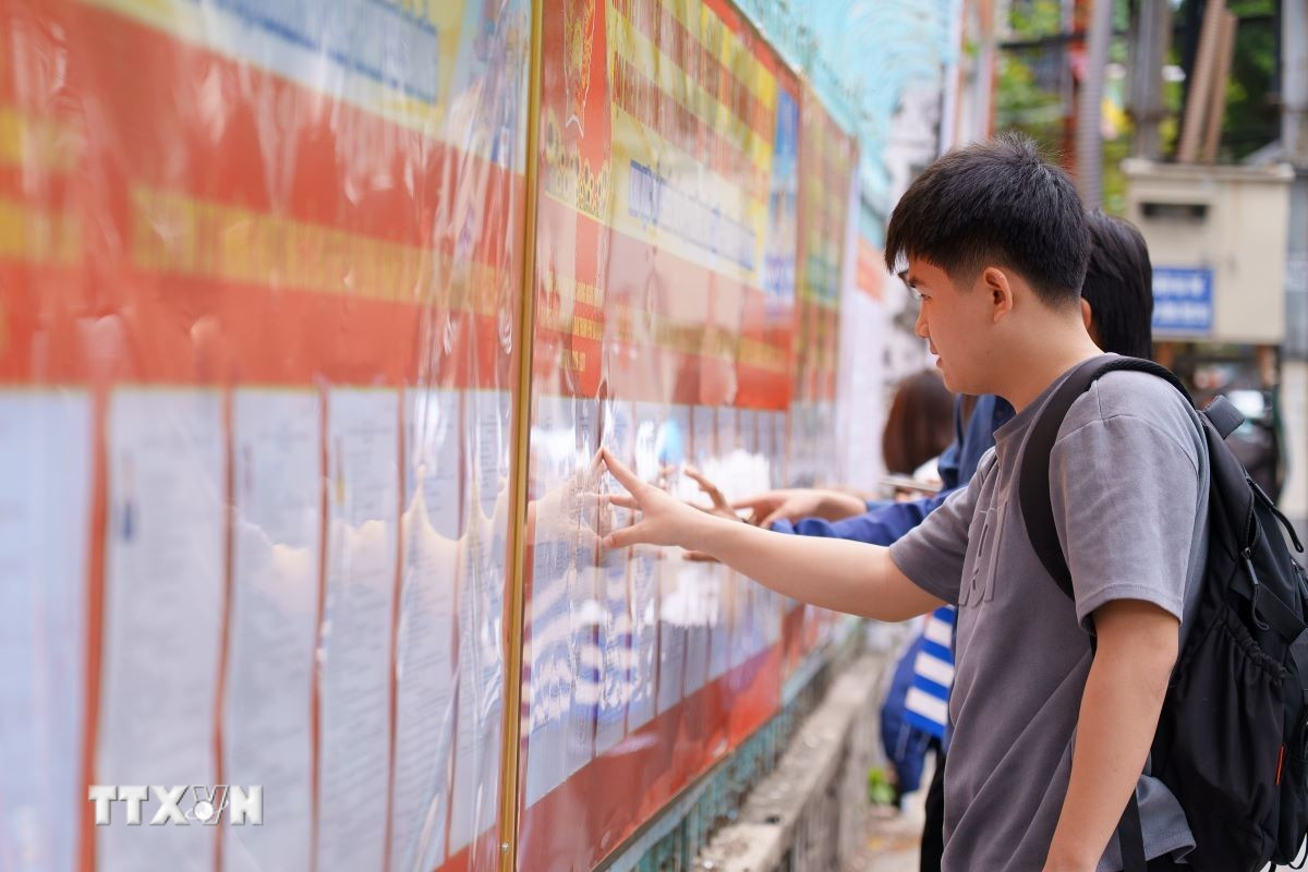 Sinh viên Trường Đại học Sư phạm Kỹ thuật (Đại học Đà Nẵng) nghiên cứu danh sách các ứng cử viên được niêm yết tại nhà trường. (Ảnh: Khoa Chương/TTXVN)