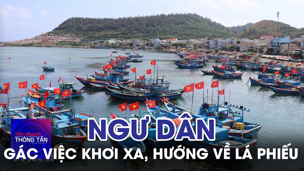 Quảng Ngãi: Ngư dân gác việc khơi xa, hướng về lá phiếu