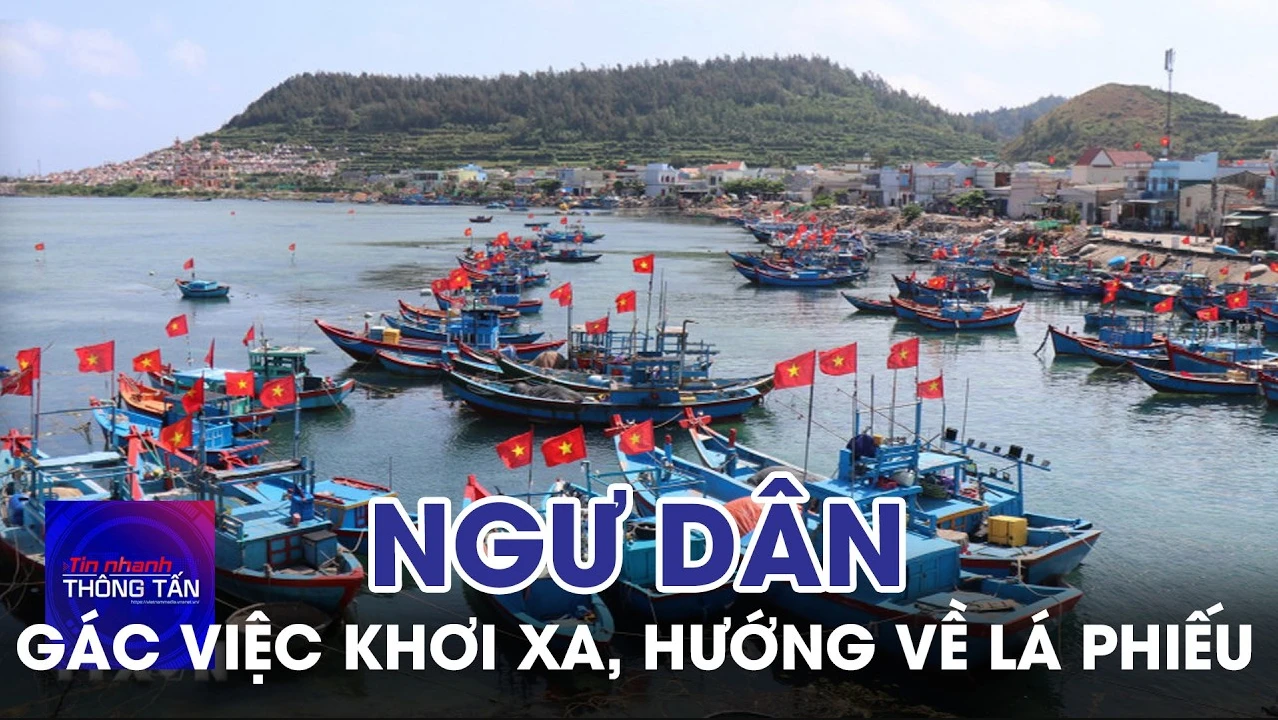 Quảng Ngãi: Ngư dân gác việc khơi xa, hướng về lá phiếu