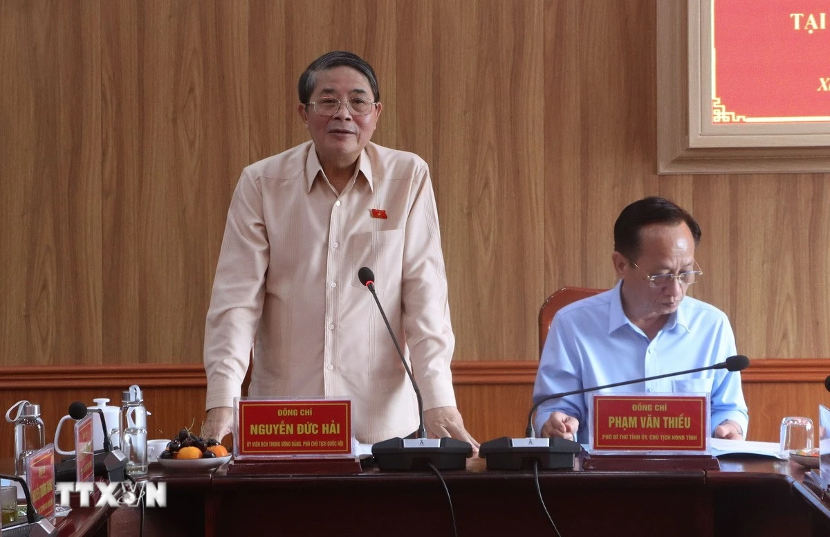 Phó Chủ tịch Quốc hội Nguyễn Đức Hải phát biểu tại buổi giám sát. (Ảnh: Tuấn Phi/TTXVN)