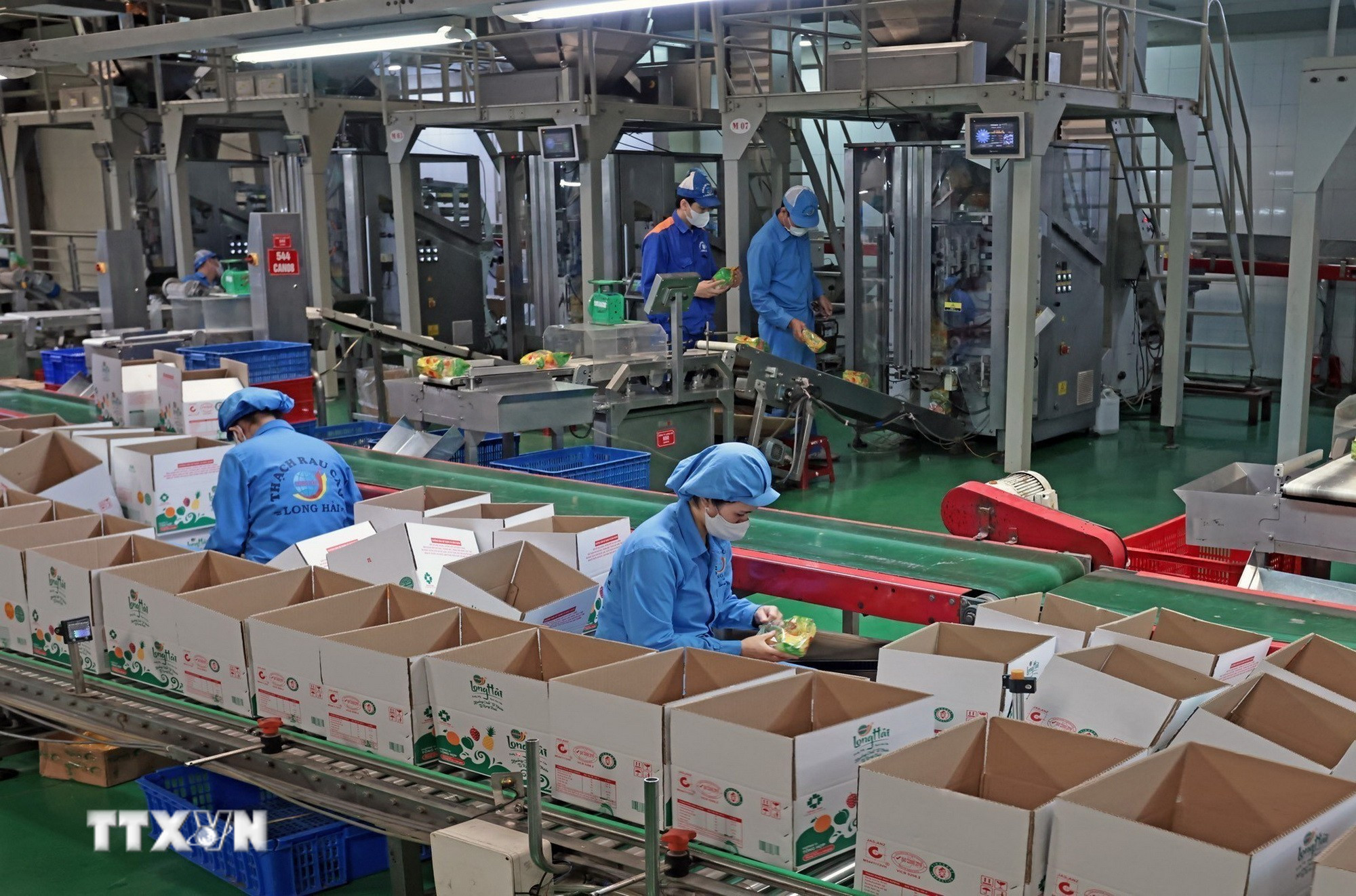 Công ty TNHH Long Hải, Cụm công nghiệp 1, phường Thạch Khôi, thành phố Hải Phòng mỗi năm sản xuất hàng trăm tấn sản phẩm tiêu thụ trong nước và xuất khẩu. (Ảnh: Trần Việt/TTXVN)